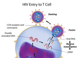 Infection HIV, manifestations cliniques et aspects thérapeutiques