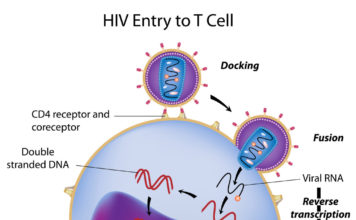 Infection HIV, manifestations cliniques et aspects thérapeutiques