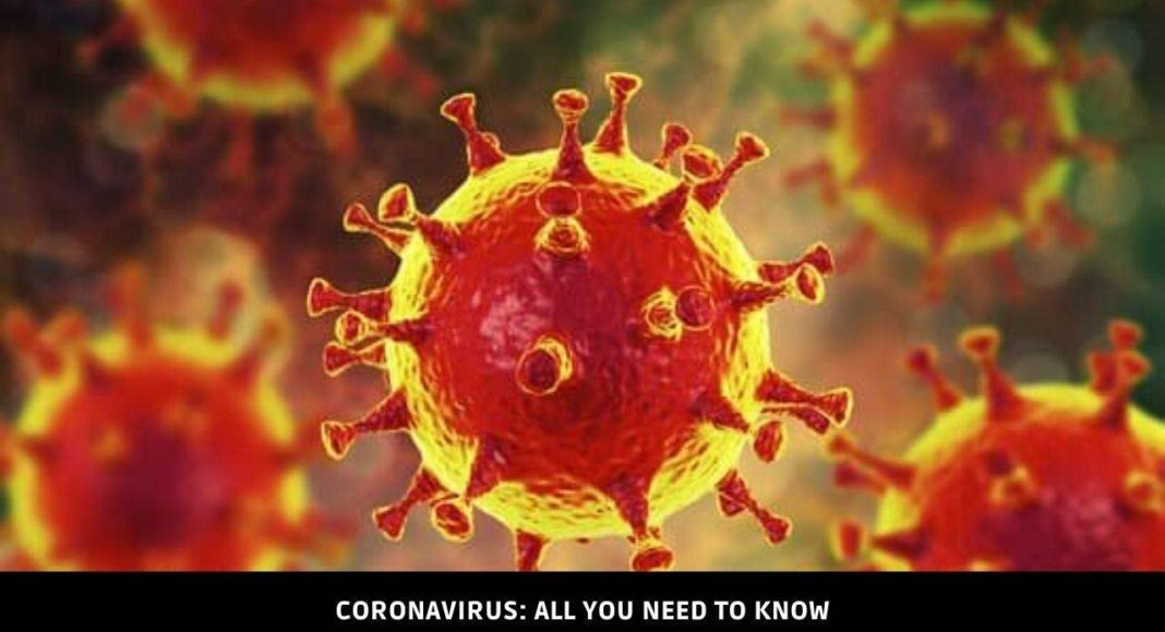 Coronavirus 2019 n-CoV (Wuhan)