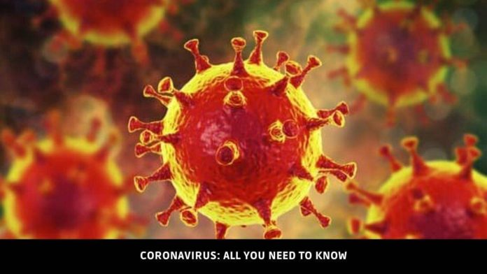 Coronavirus 2019 n-CoV (Wuhan)